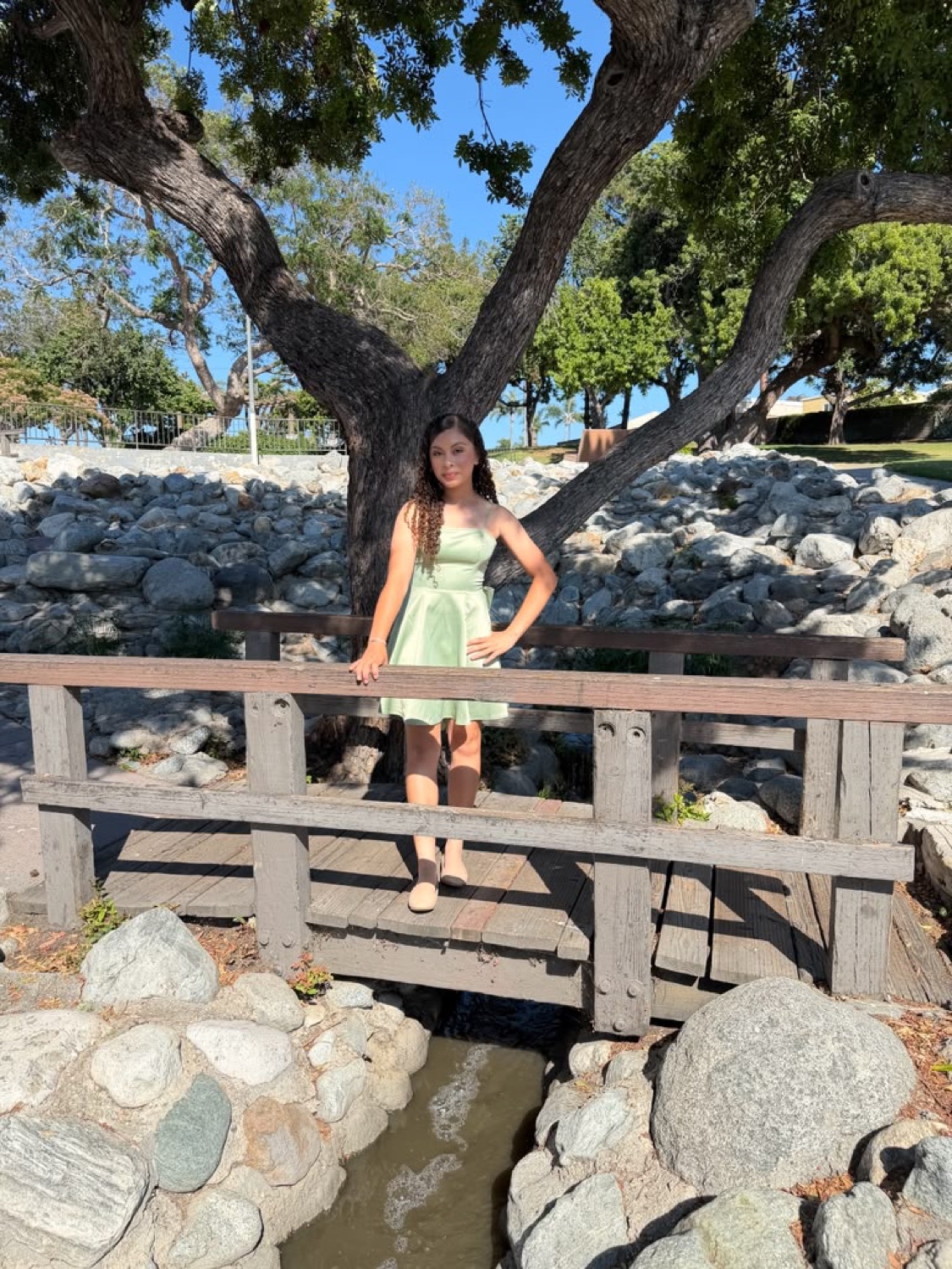 Amanda 4